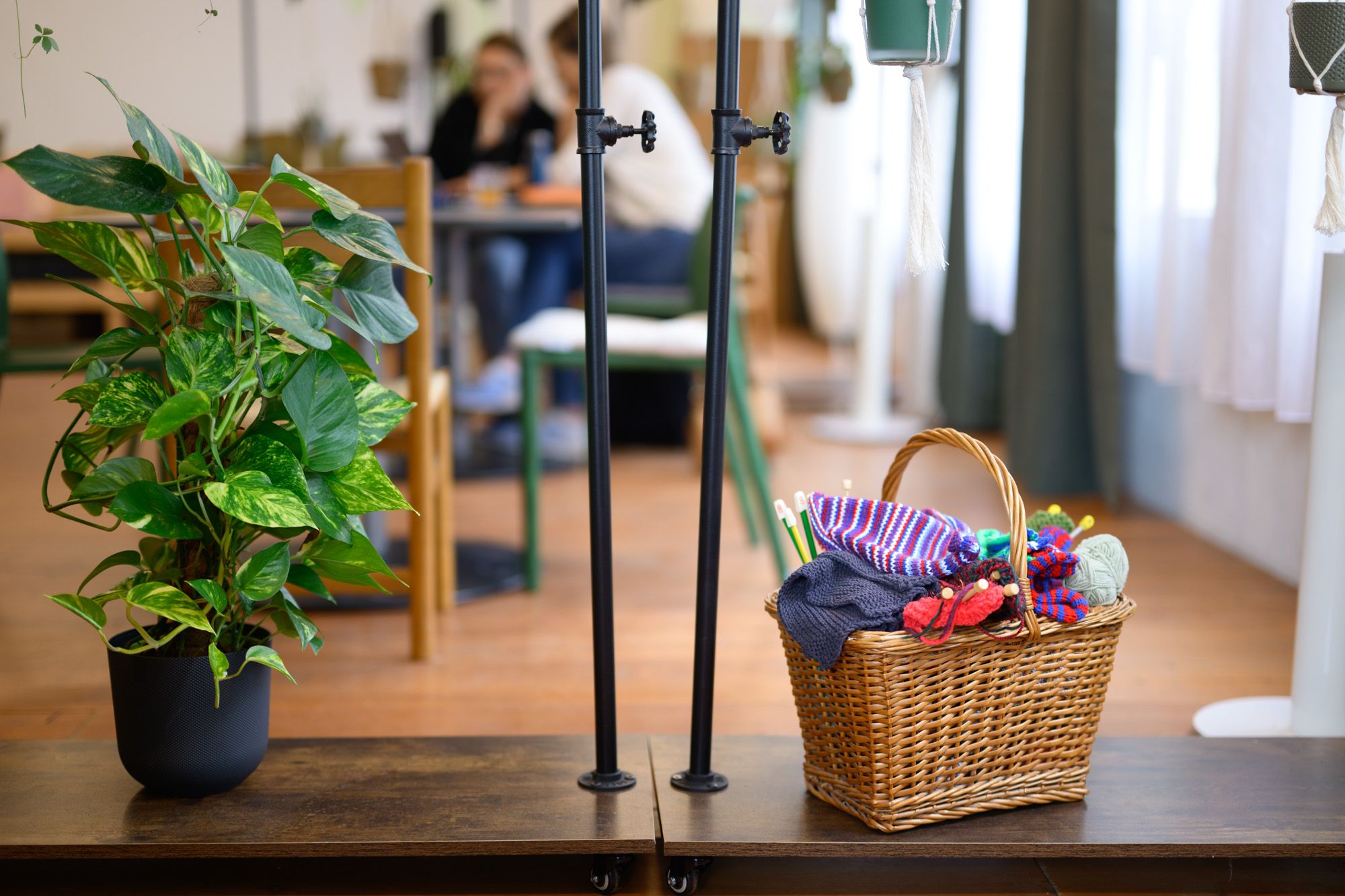 Innenansicht der Lernstube Bülach mit Pflanze und Geschenkkorb